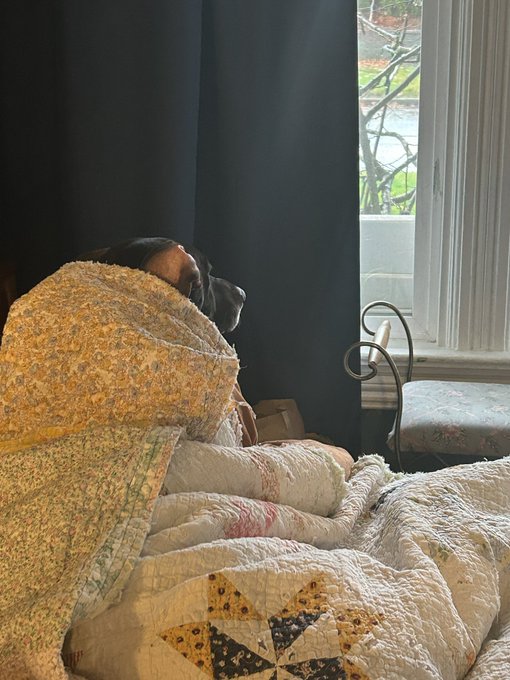 She&rsquo;s cozy, she&rsquo;s snuggled, she&rsquo;s hunting squirrels and awaiting spring. She&rsquo;s thriving. https://t.c