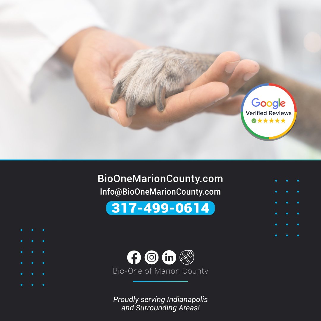 BioOneIndy's tweet photo. Here are five essential tips for cleaning up feces and urine or any waste from your furry friend.
📰: https://t.co/y6BzbnyHqC
Bio-One of Marion County is Available 24/7 🚨 317-499-0614.
#bioone #blog #news #marioncounty #indianapolis #resources #housetips #petcare #puppylove https://t.co/bBEI4JzryF