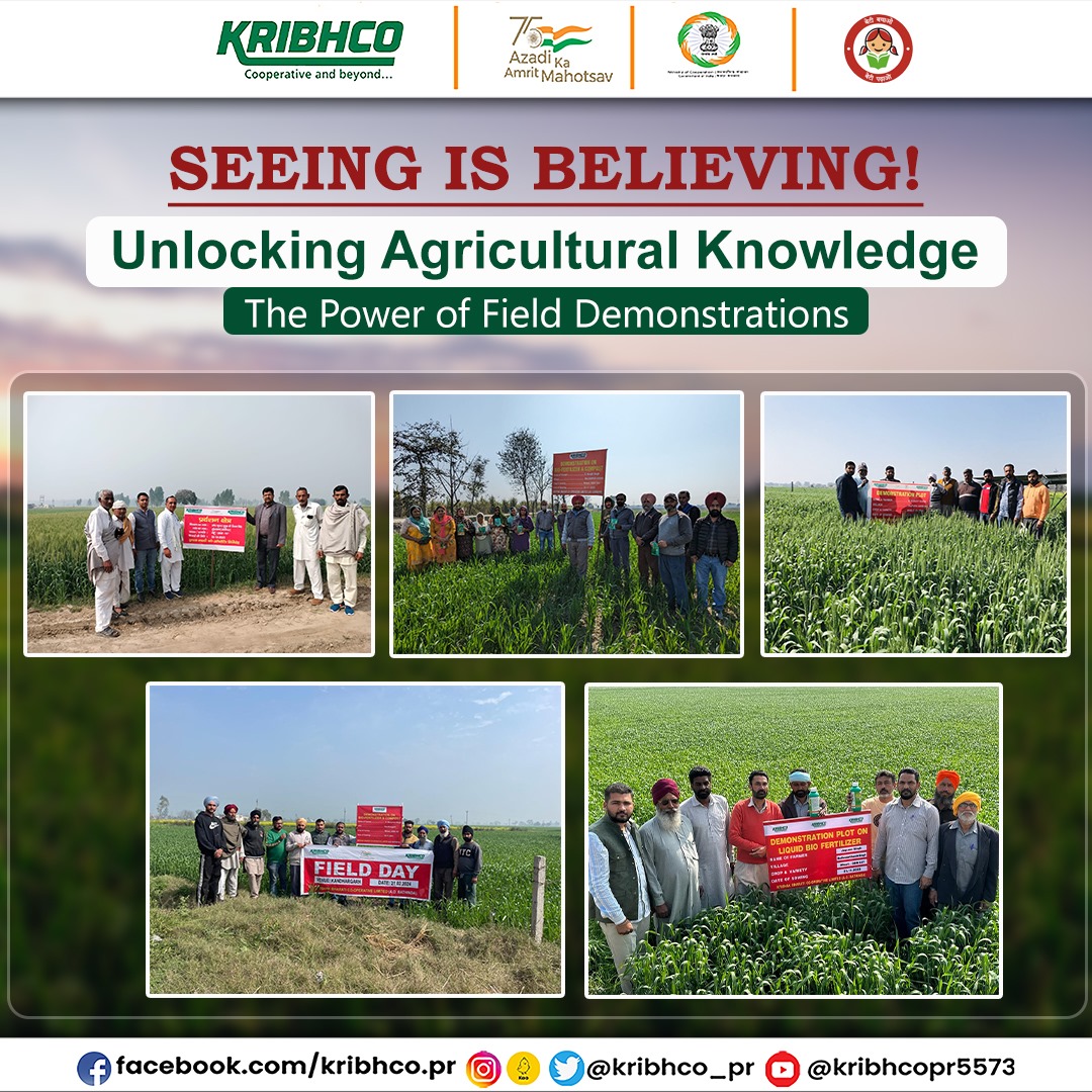 KRIBHCO_PR's tweet photo. Field demonstrations offer crucial insights into new management practices and technologies, allowing stakeholders to witness real-world performance on farms.
#seeingisbelieving
#fielddemonstration
@MinOfCooperatn
@AgriGoI
@fertmin_india https://t.co/enxUWskoui