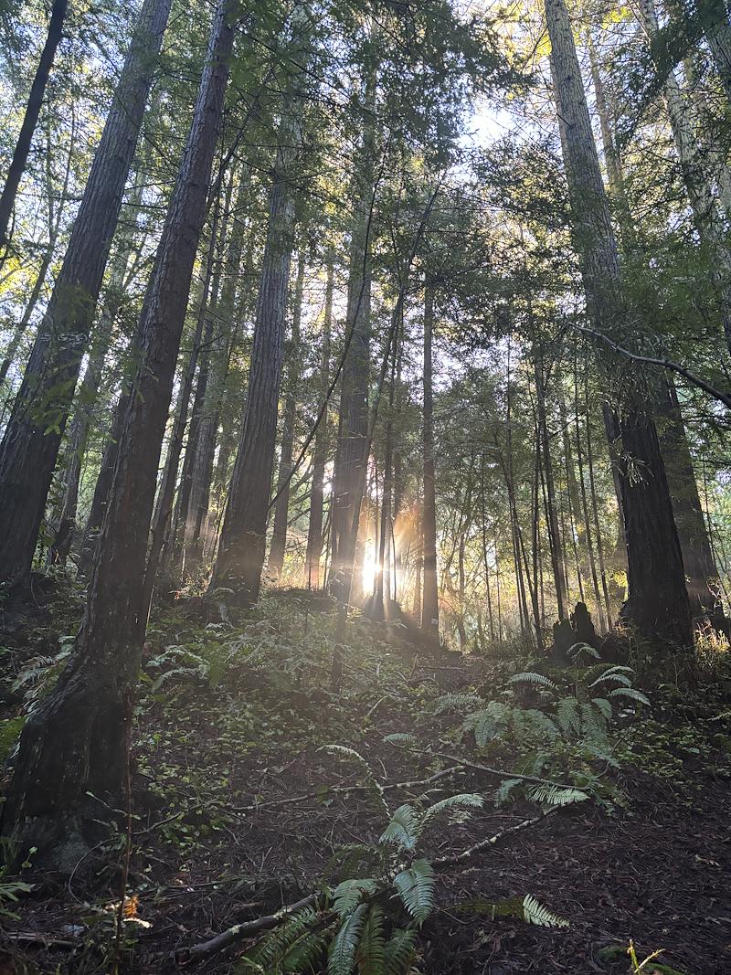 Jonathan Duarte tweet media