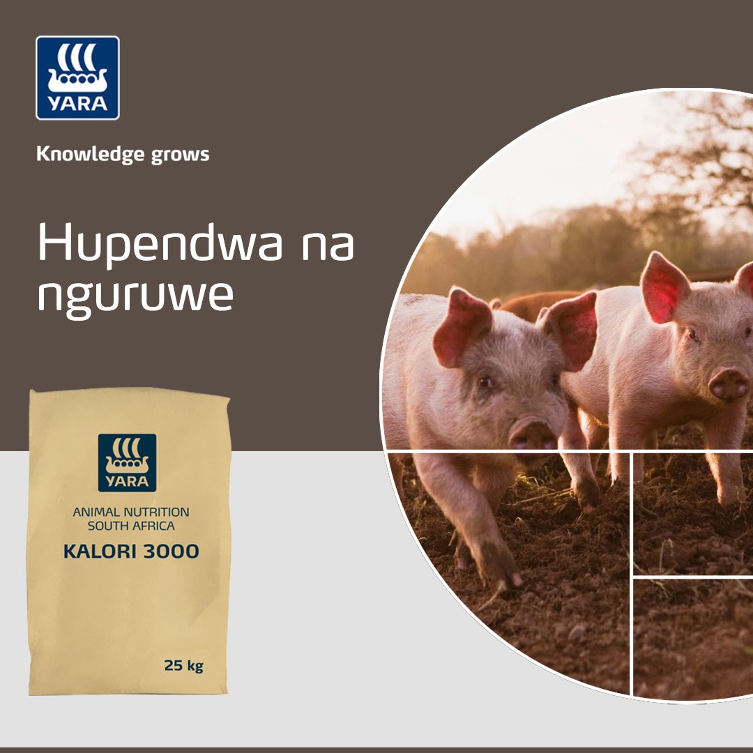TanzaniaYara's tweet photo. Wape #UpendoWaYara mifugo yako katika hizi siku za wapendanao!  Wape upendo kwa kuwalisha KALORI 3000 ni sukariguru kavu yakunyunyuzia inayo ongeza radha, harufu nzuri na hamu ya kula kwa mifugo yako.

#YaraTanzania
#Knowledgegrow
#MifugoBorayaYara
#UpendowaYara https://t.co/tqP8xAfmg1