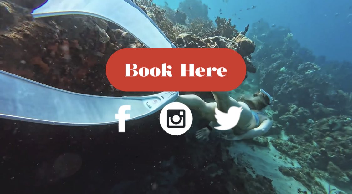 Aqua Action tweet media