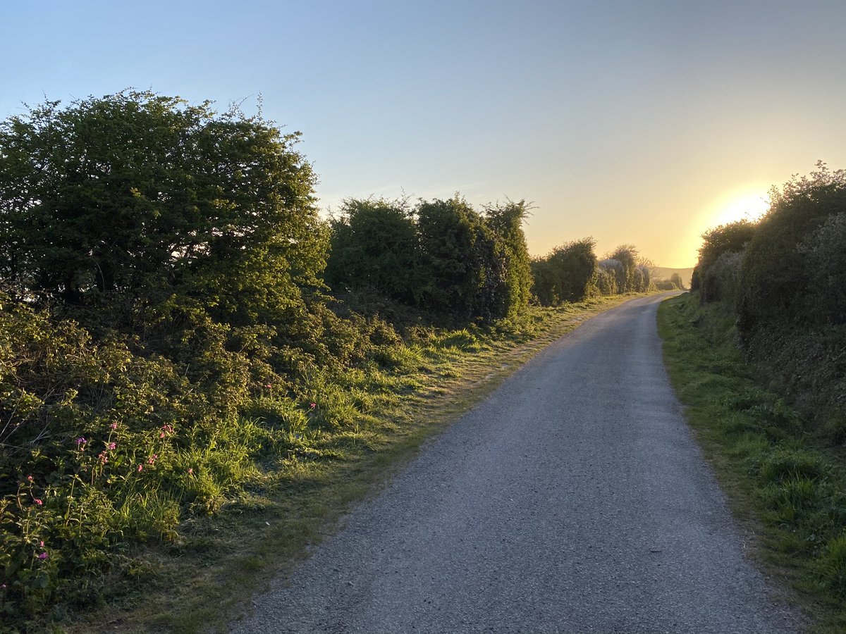 Sun rising on the Camel Trail #cameltrail #padstow #wadebridge #cycle #cyclehire #bikehire #cornwall #sunrise