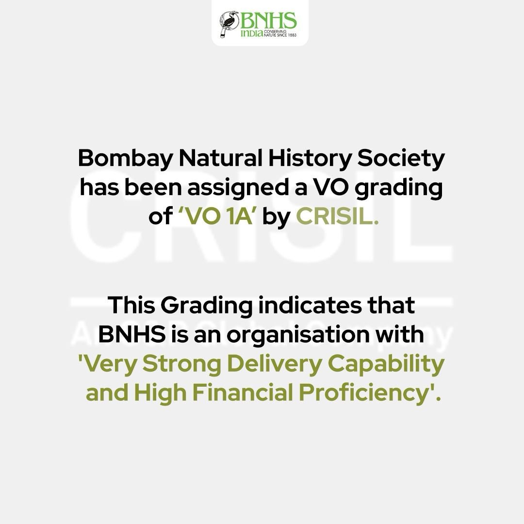 🌿 Proud moment for conservation efforts! The Bombay Natural History Society earns a prestigious 'VO 1A' grading by CRISIL. Together, let's continue to protect and preserve our precious natural heritage! #BNHS #Conservation #CRISIL #NaturePreservation