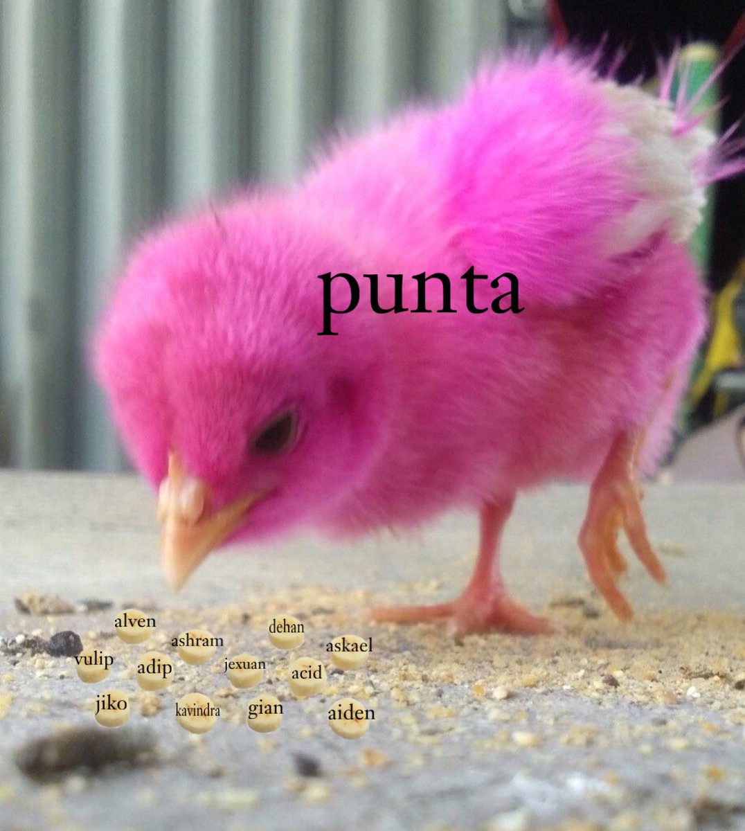 nyam nyam nyam cemilan siang