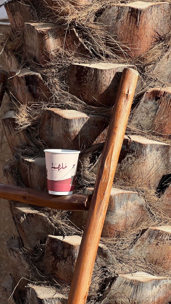 عَبادي . tweet media