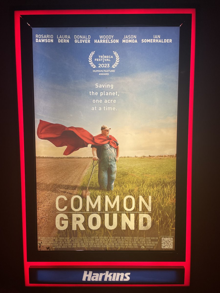 Horne for Arizona tweet media