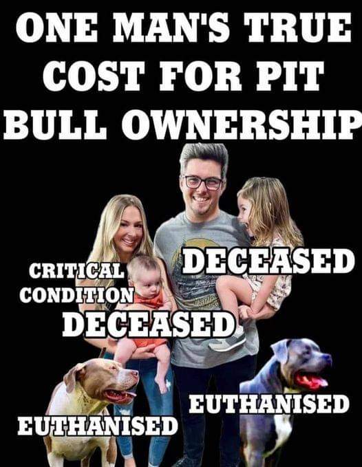 BrownCraig44264's tweet photo. @bexmh @CharlieGiggles6 @Ohdearyme292711 @ProtectOurPets2 https://t.co/LkbqfXfWMJ