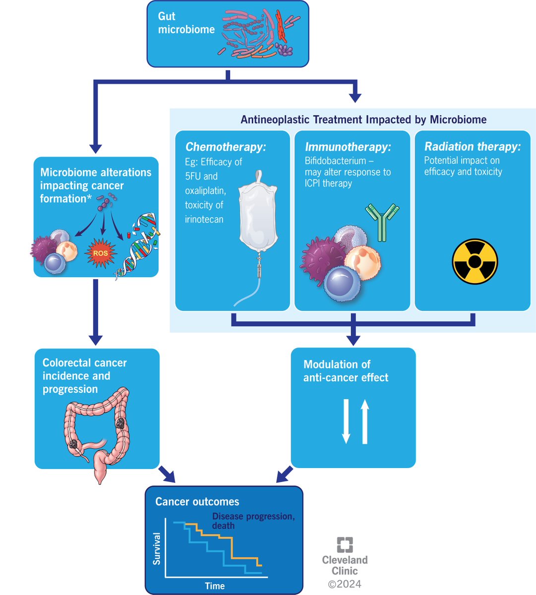 Rx_Devvrat's tweet image. Check out our article on the dynamic interplay of gut bacteria and colorectal cancer (CRC)! 🦠:
-Mechanism on how the microbiome prevents/promotes oncogenesis
-Bidirectional relationship of oncotherapy and microbiome
-Role of FMT in treating CRC 
doi.org/10.3390/microo…