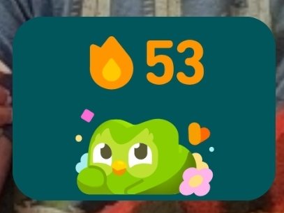 MurphysTarget's tweet photo. I'm pretty sure the widget for Duolingo is what has kept my streak going. The owl gets dramatic af around 8pm. https://t.co/74ufVvDSQp