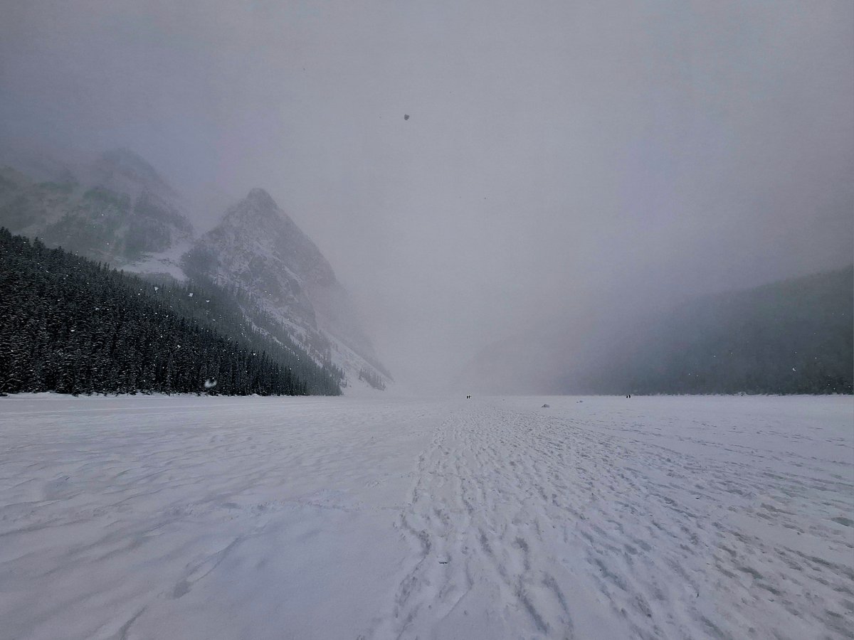 Thank you @CanMountainNet, @ArcticSynthesis & @UCalgary for hosting an excellent 3-day workshop on building resilience to #wildfires in mountain-influenced landscapes and bringing together Indigenous & scientific ways of knowing. Really looking forward to the workshop report!