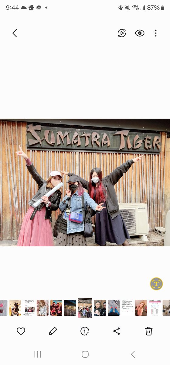 Taniguchi0415's tweet photo. 今日はスマトラタイガーの閉店日。
去年の3月18日に斉田和典さんのバースディライブで大山まき、みほ、トッキーが参加するので初めて行ったライブハウス。
楽しかったなー✨
今年も何かしらあると思ってたのに残念…
ありがとう‼️
#hangyooodon
#aldioustoki
#miho_dotdotdot
#Sumatra_Tiger https://t.co/zOKcYBYFfB