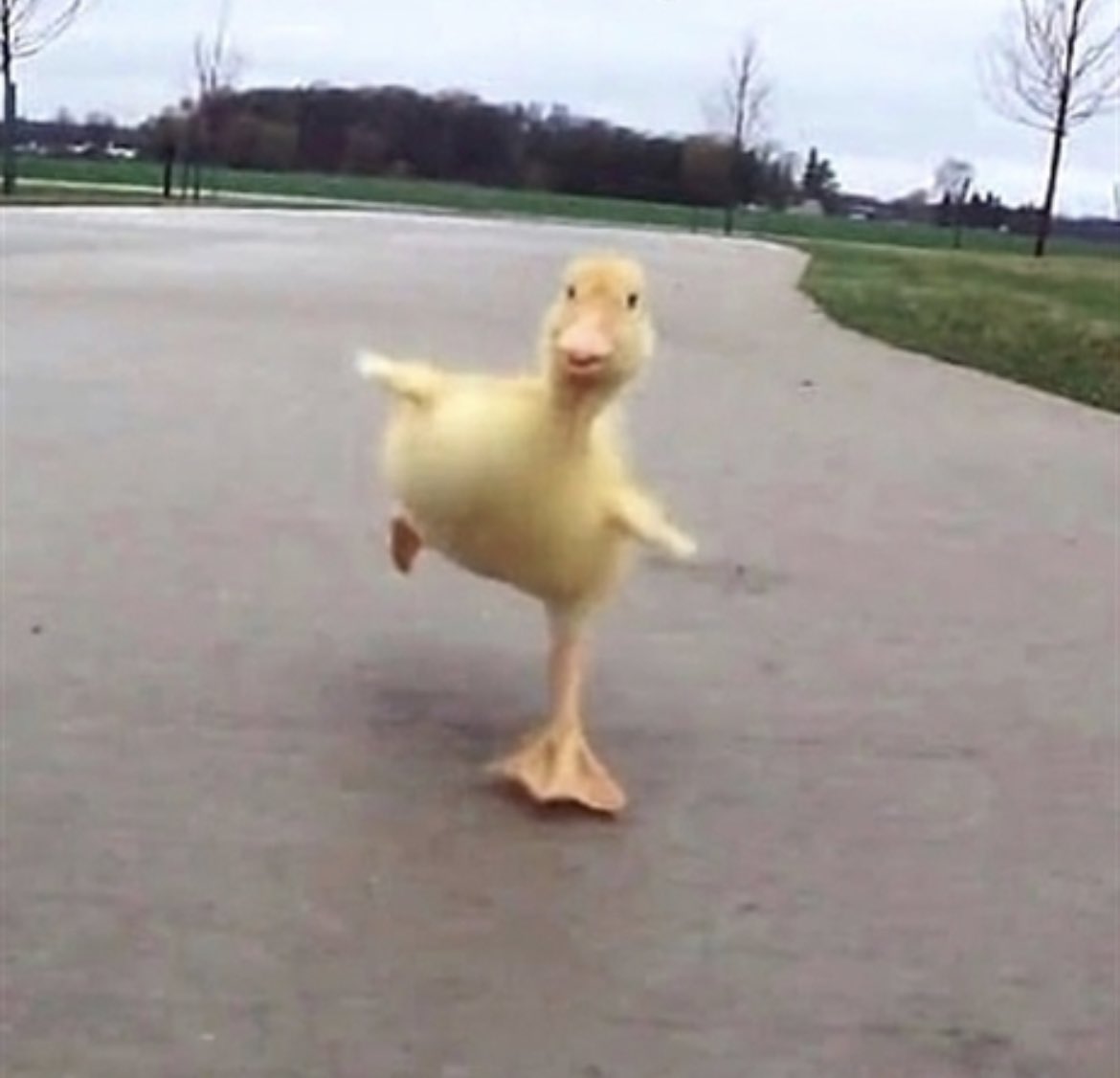 #김태래 🐥