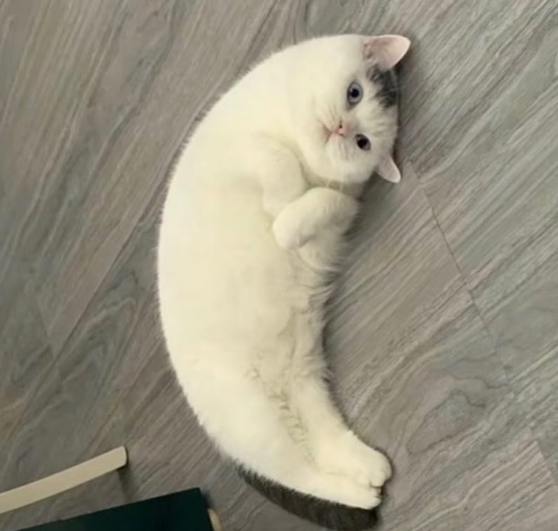 🌙