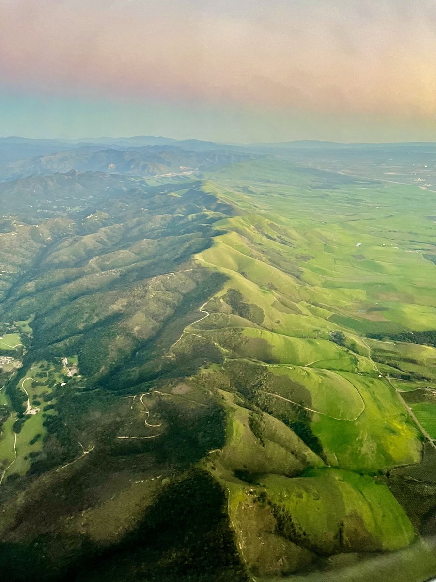 Jason Haas tweet media