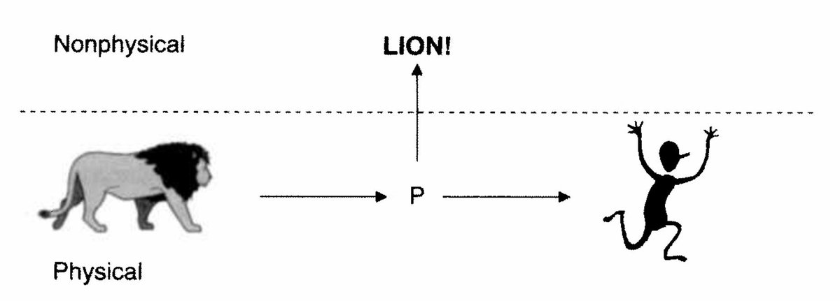 PSA: If you spot a lion nearby, don’t panic: they may just take a left turn at P and perish in the non-physical realm (via @AxolotlParm)