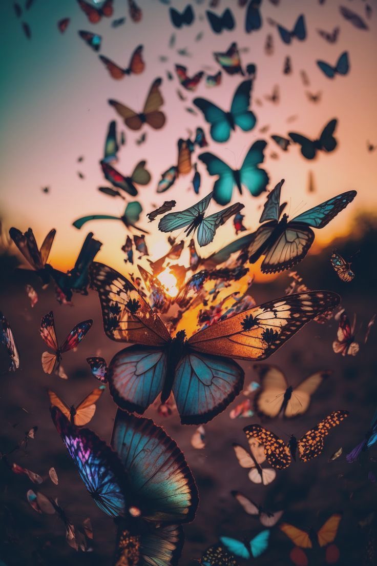 Hug me tight until radiant butterflies release. #7wordspoet