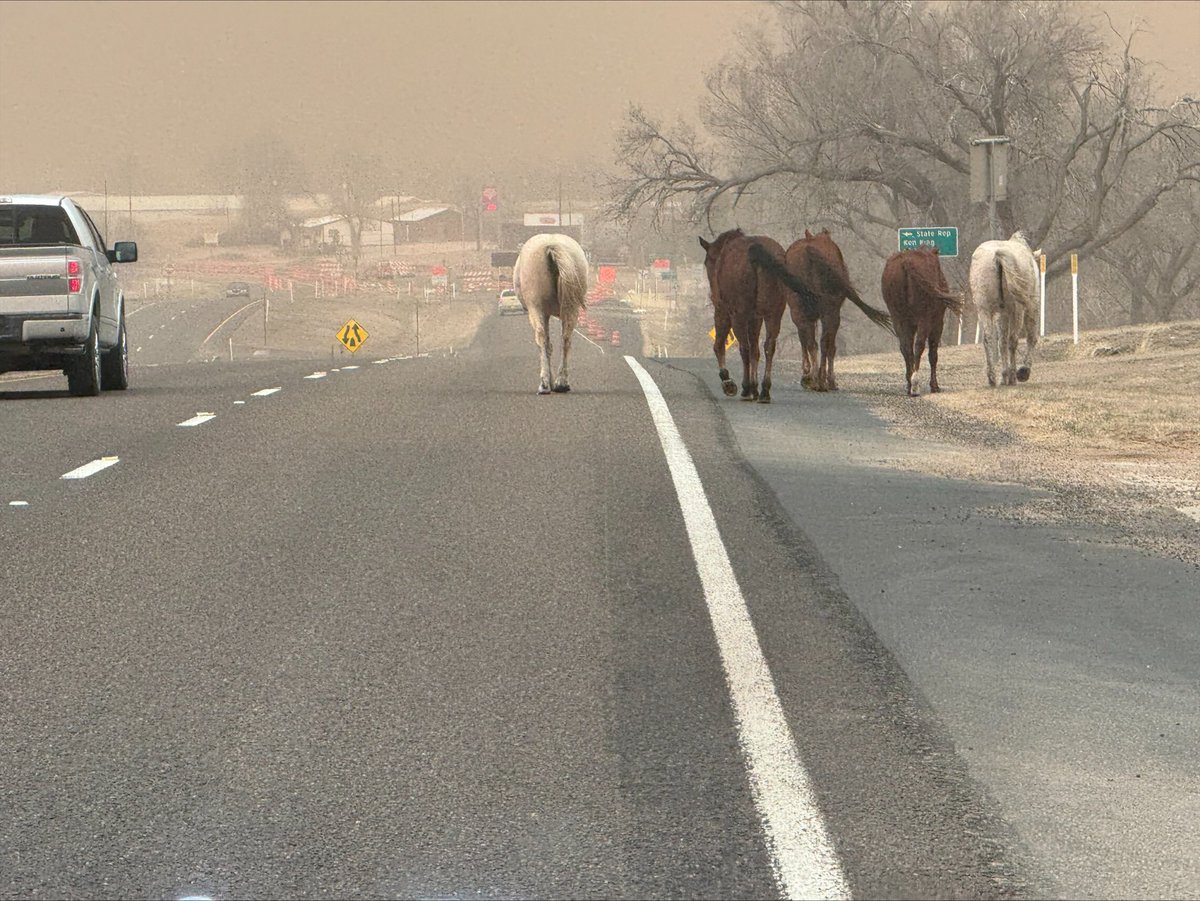 txextension's tweet photo. Owners impacted by the devastating #wildfires that have scorched ranchland across a large portion of the Texas #Panhandle are in need of donations of hay, feed, fencing supplies, cow feed and milk replacer to support livestock. Learn how you can help at https://t.co/u5y6ueHkGh https://t.co/ucdnBVjDLq