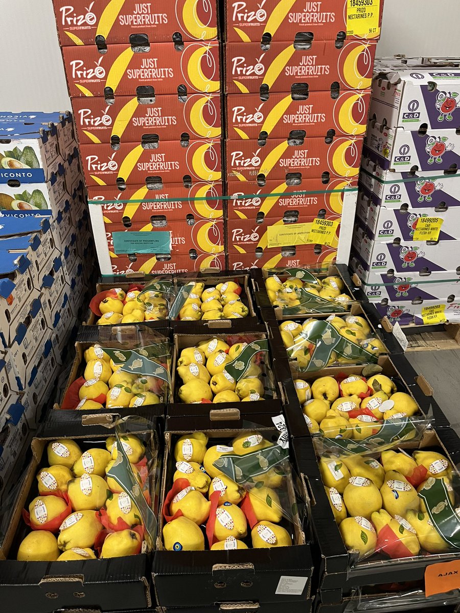 I want to thank the Ontario Produce Marketing Association for organizing a meeting and tour with Vince, Joe and Steve from TK Fresh in Etobicoke. 

Because of <a href="/ONTProduce/">The OPMA</a> I’ve learned more about how fresh fruits and vegetables get from farms to stores!
