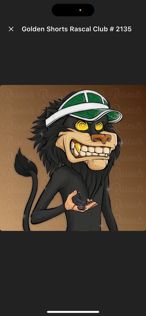 johngope tweet media