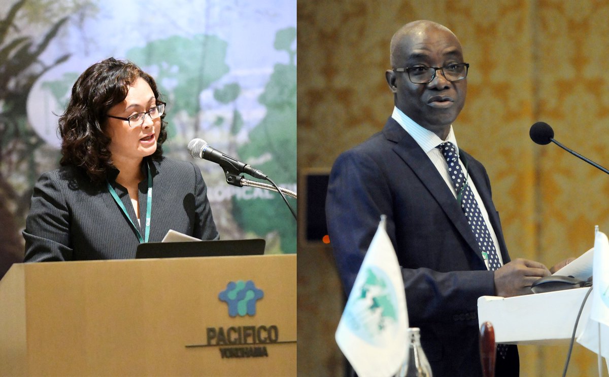 Two new directors appointed to ITTO Secretariat ITTO Executive Director Sheam Satkuru has appointed Jennifer Conje and Mohammed Nurudeen Iddrisu as directors of the Division of Forest Management and the Division of Trade and Industry. Both took up their appointments in February.