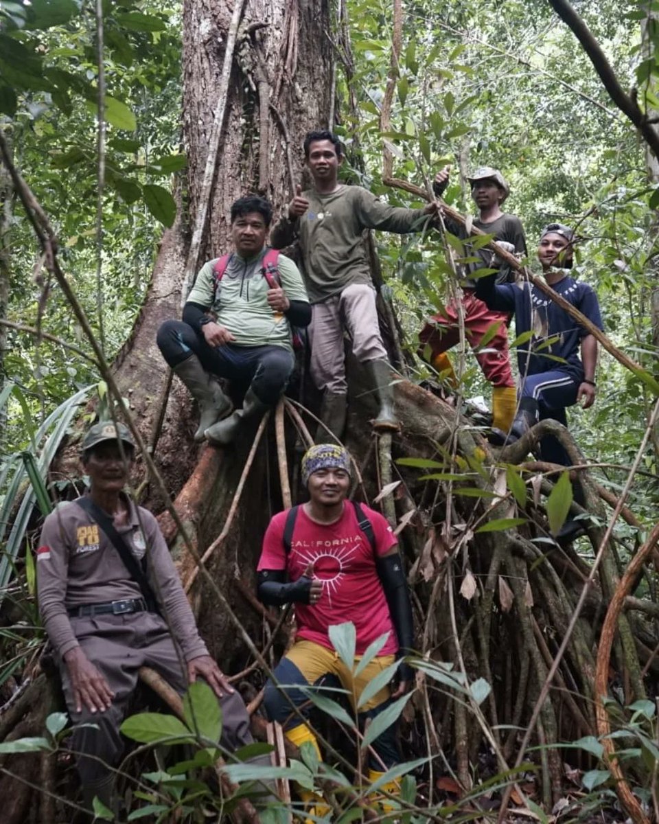 heritage_siak's tweet photo. - Hanya jauhari yang kenal mutu manikam -
.......Tak perlu keliling dunia, syurga indahnya alam Negeri Istana ada di Danau Zamrud.......
#TitianMaruahSerumpun
#WarisanKhazanahBangsa #SiakHeritage
#Dayun
#AlamMelayu
#Istimewa
#SIAKisme
#Anakjati https://t.co/UHjEkVrtAJ