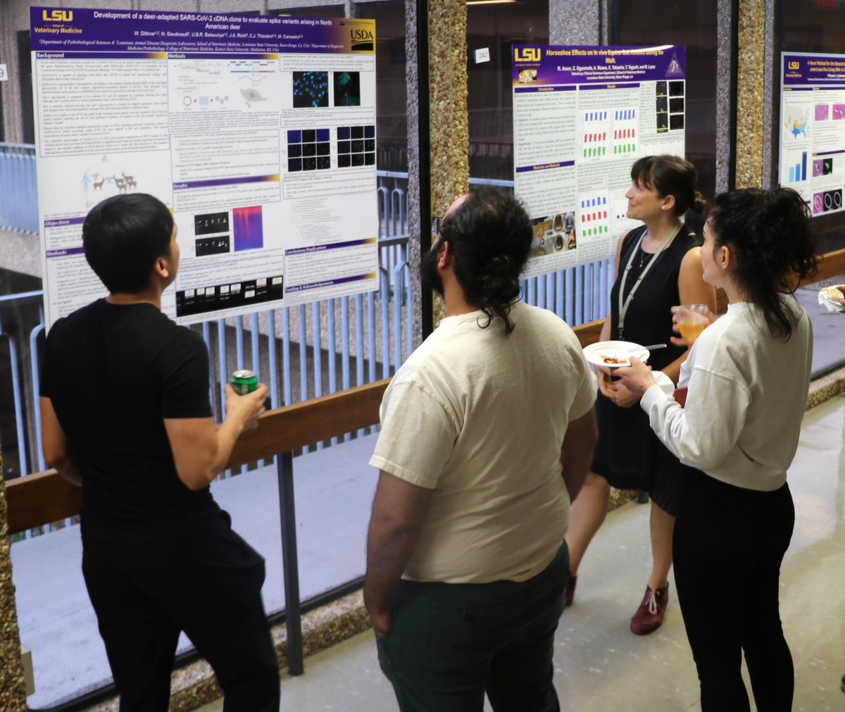 lsuvetmeddean tweet picture
