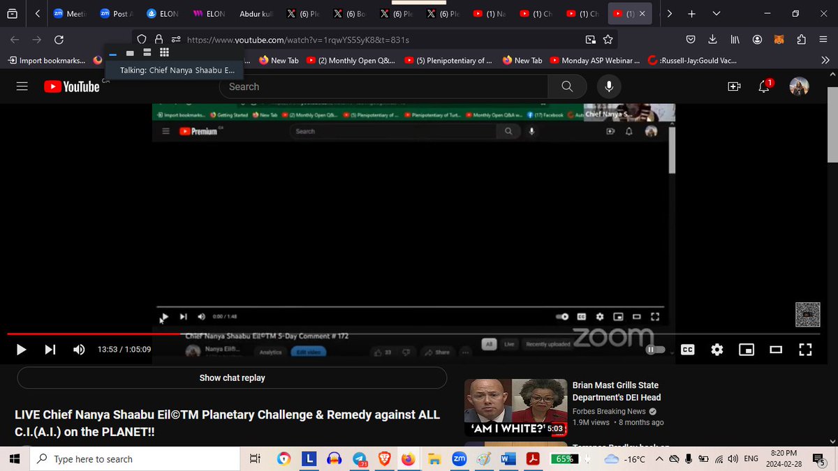 Plenipotentiary9999 tweet media