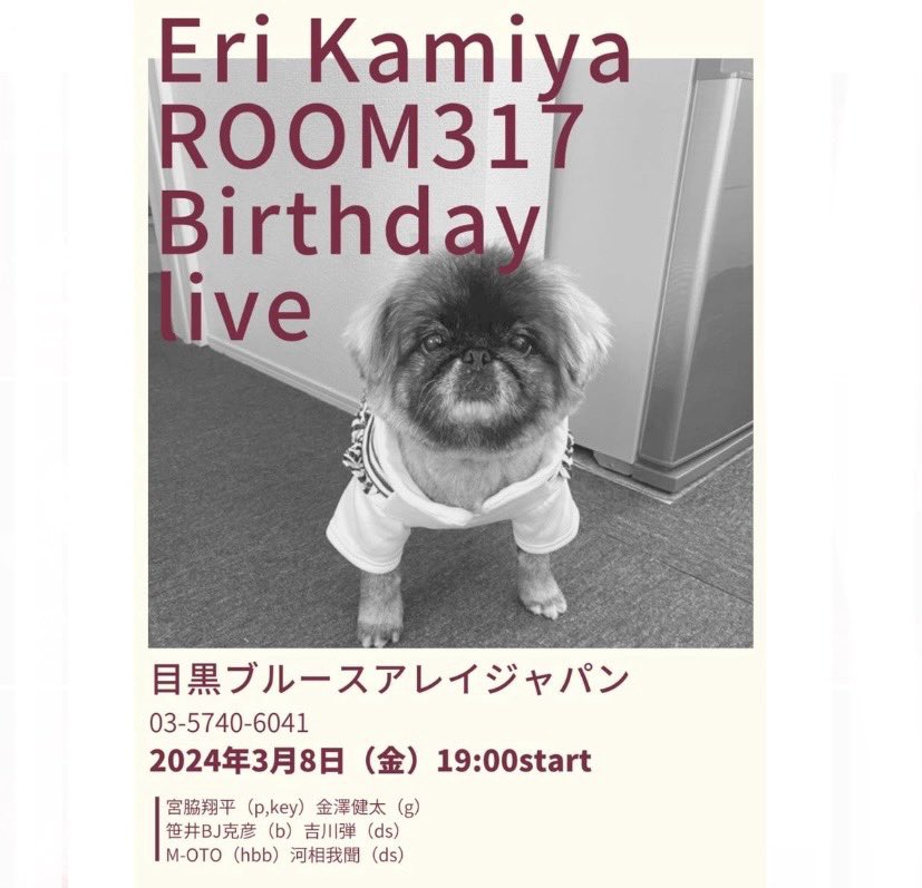 ◾️Eri Kamiya Room 317 Birthday Live
2024年3月8日（金）

　神谷えり（vo）
　金澤健太（g）
　宮脇翔平（p,key）
　笹井BJ克彦（b）
　吉川弾（ds）
　河相我聞（ds） 
　M-OTO（hbb）

時間open/18:00   start/19:00
チャージ¥6,000+order
場所：目黒Blues Alley Japan
住所: 〒153－0063