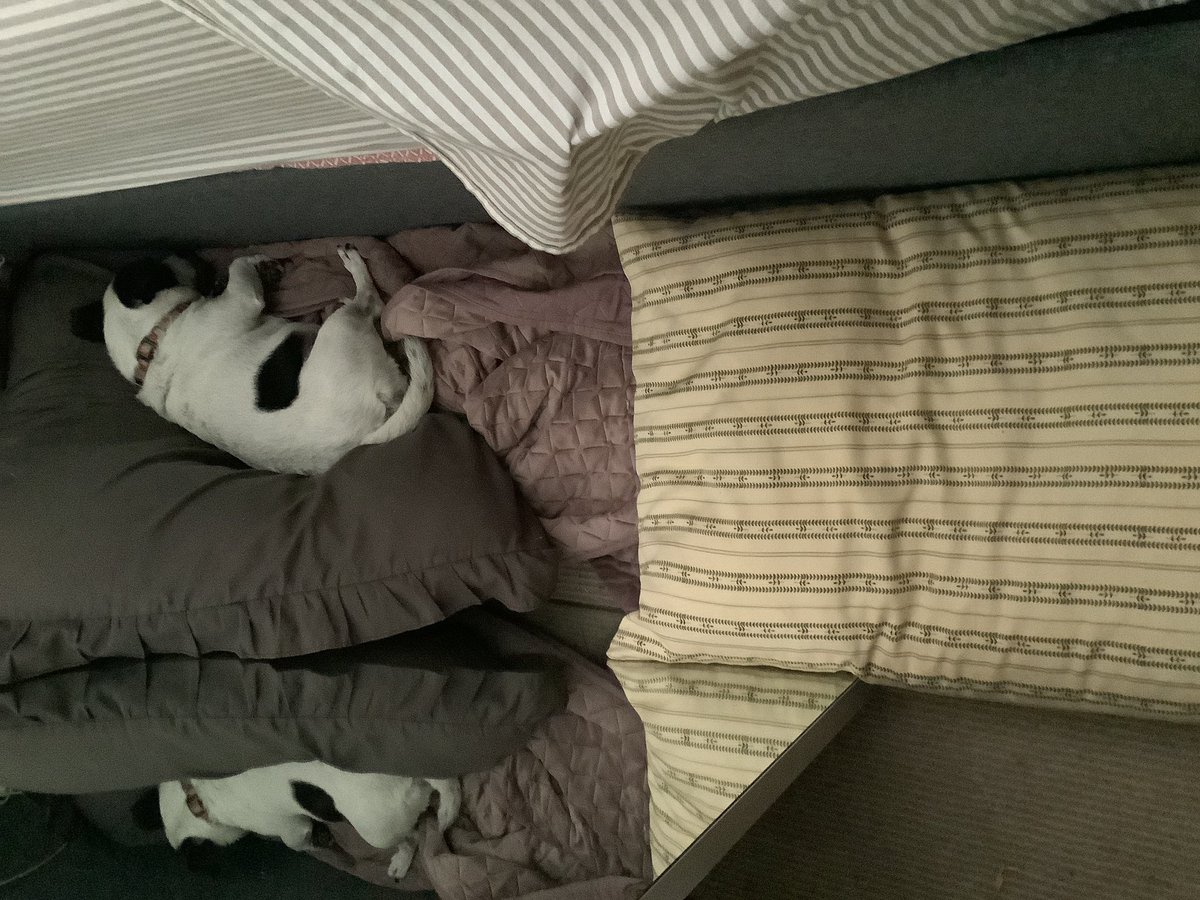 churchmouse22's tweet photo. Decided it was just tooooo hot to be dealing with #FittedSheets. Probs just as well … https://t.co/DuUw84GNLF
