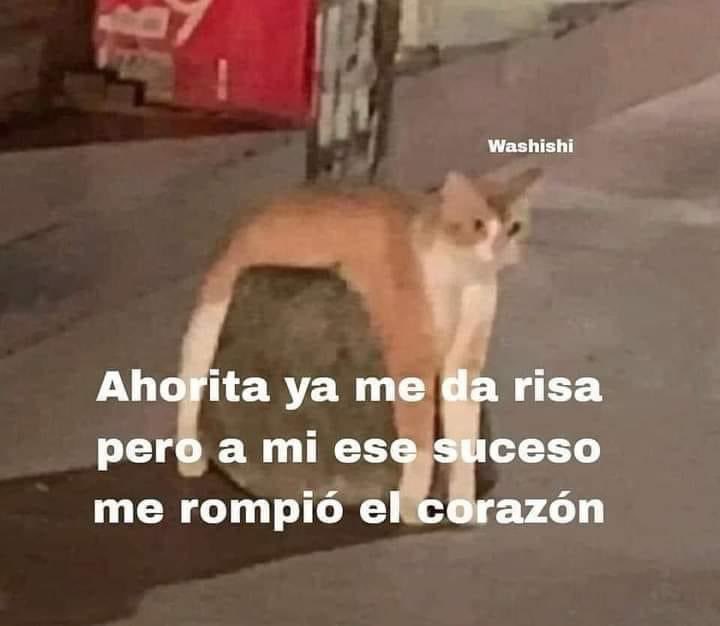 NobaraMiss's tweet photo. Yo platicando historias de la vida con mis mimigues mientras @Heyitsmesayhi  se mea de risa y keyla bebe se pone tite. https://t.co/tedbFCDiQn