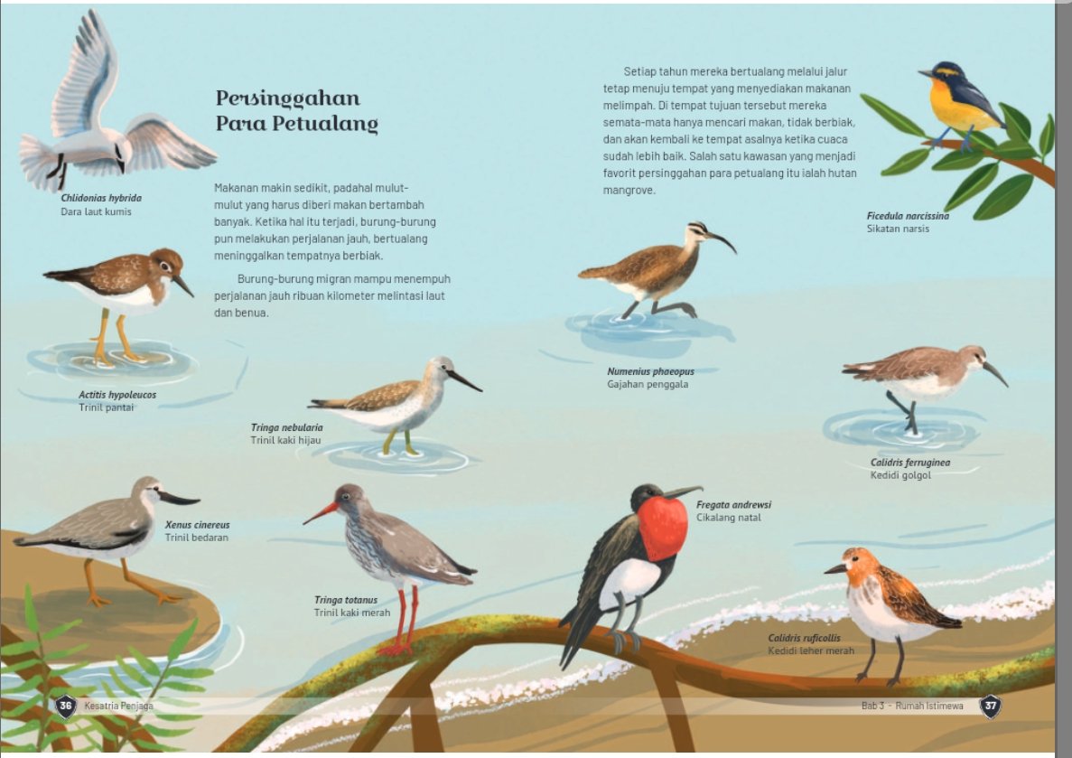 adekumala's tweet photo. Bukan buku Cambridge atau Usborne 🙅‍♀️ Ini buku pengayaan (nonteks) bikinan Kemdikbud yang sekarang. Teks dan ilustrasinya world class 🙌 

Aku sbg pecinta burung terpesonaaa 🦜 https://t.co/TGOTG4h0iI