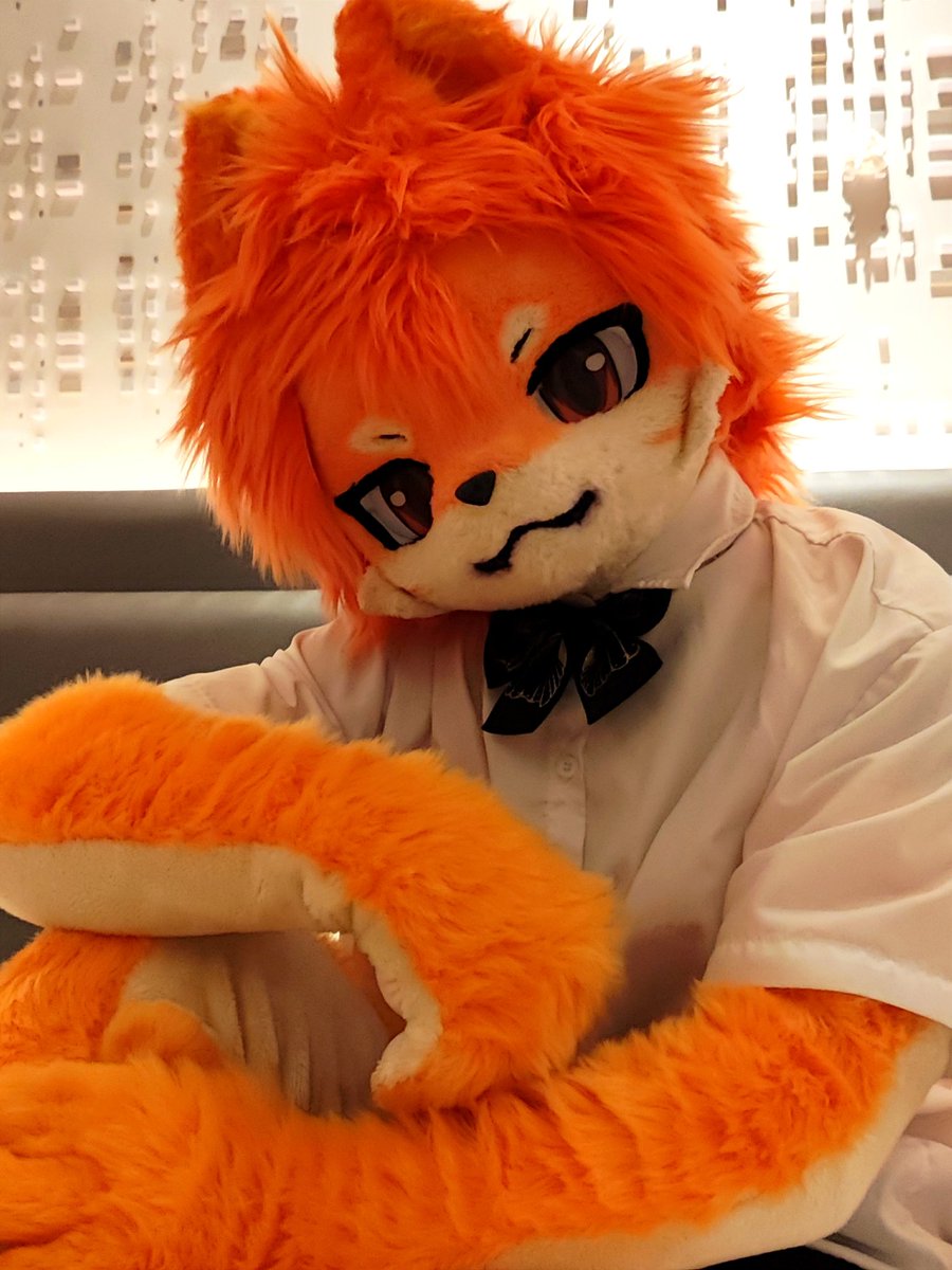 #FursuitEveryday “早上好～” “虽说现在已经不是很早了哈哈哈” “那么，有谁需要早安吻吗？” 毛替 @Glaiance_QiuHu