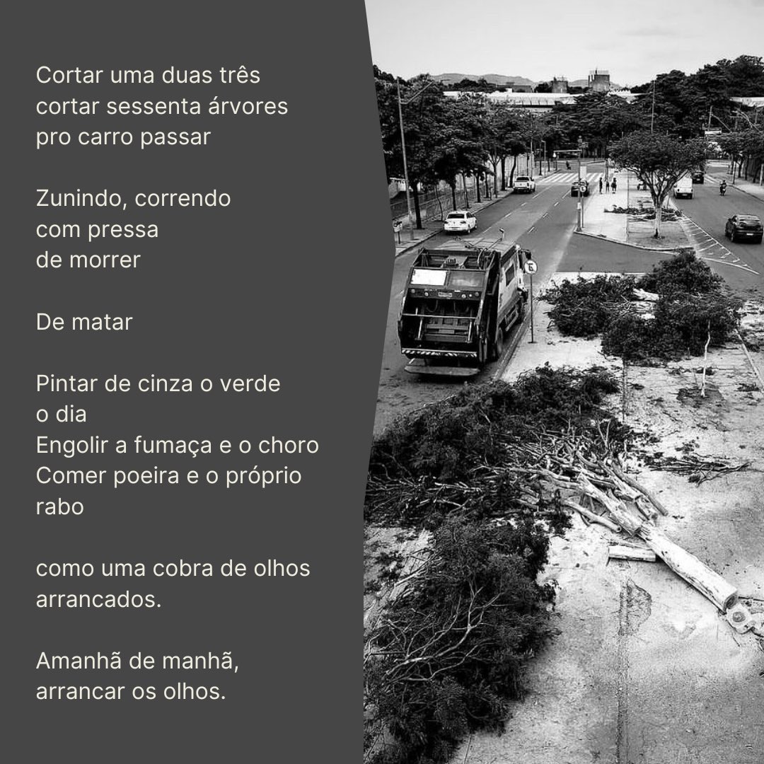 Marcela Dantés (@marceladantes) on Twitter photo 