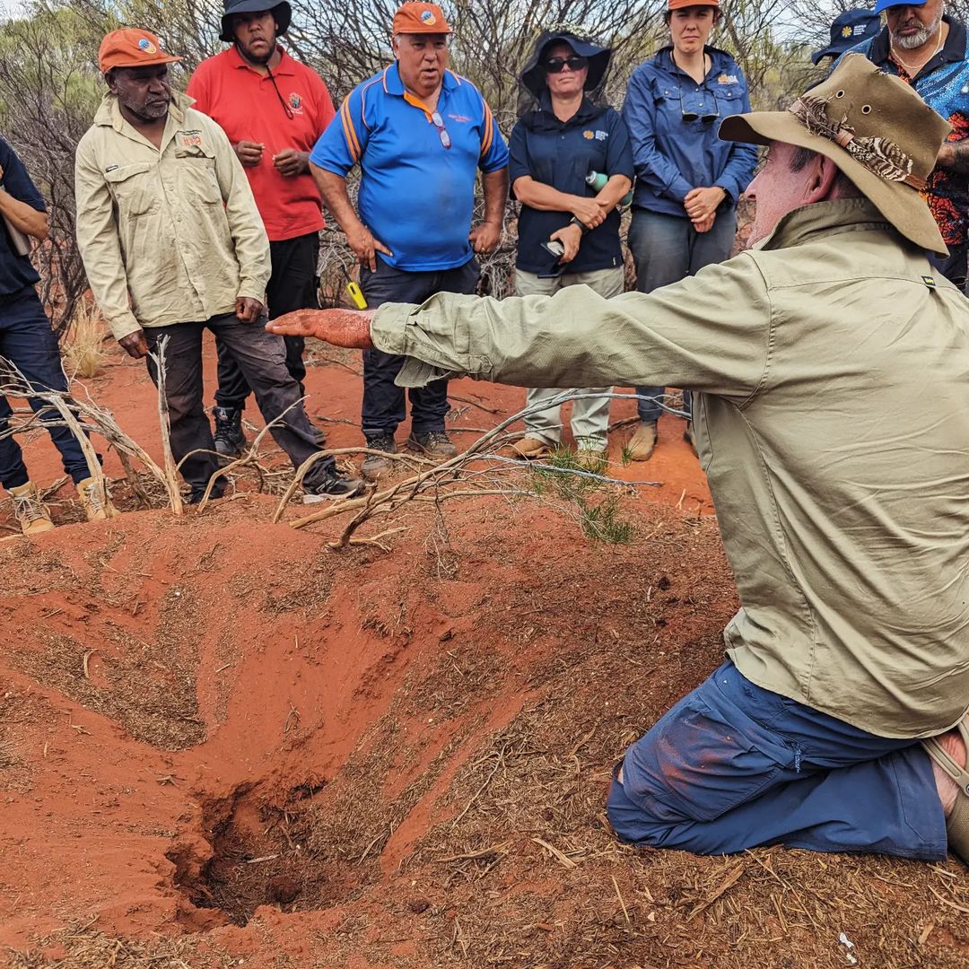 RTW were proud to join Traditional Owners, the @IDA_Australia & @MalleefowlAus on Morapoi Station to document the national 2023 Malleefowl Workshop. An incredible 3 day cultural & scientific knowledge exchange for the future of a remarkable bird. Watch: indigenousdesertalliance.com/events/past-ev…