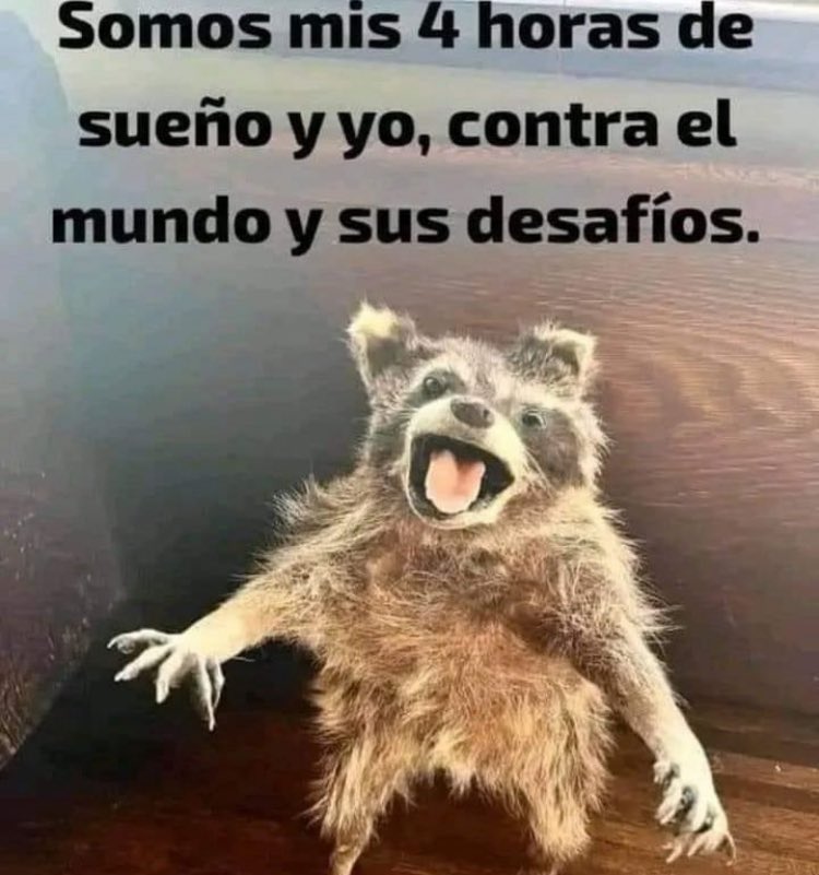 juanchomr's tweet photo. @Advng10 https://t.co/GJrCYpiW84