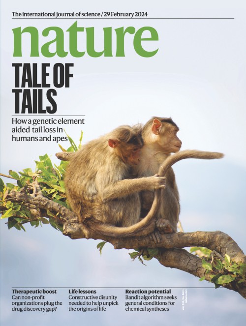 NatureKorea's tweet photo. Volume 626 Issue 8001
 (2024년2월29일)  
표지 기사： 꼬리에 대하여

https://t.co/h54Vjrv6yY https://t.co/0zdKB71aIv
