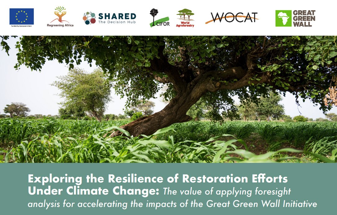 As many of the @GreenWallAfrica partners head to Burkina Faso, we would like to share a brief that was prepared from an indicative participatory foresight analysis for the Great Green Wall as part of @RegreenAfrica. Please read the brief here: bit.ly/3wtXjzA