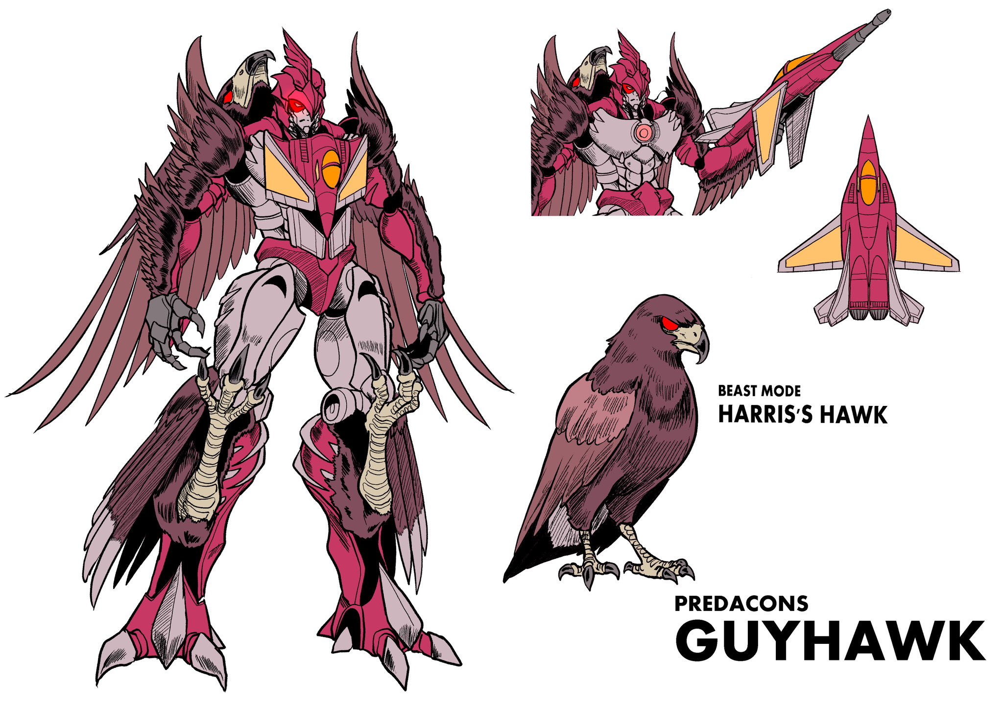 ハガタムラサキ サトラペスオオイナズマ 蝶 標本 Yahoo