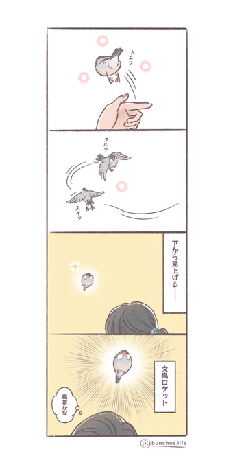 下から見上げた文鳥ロケットがなかなか絶景だった
(↓ツリーにオマケあり)
#文鳥 
#4コマ漫画 
