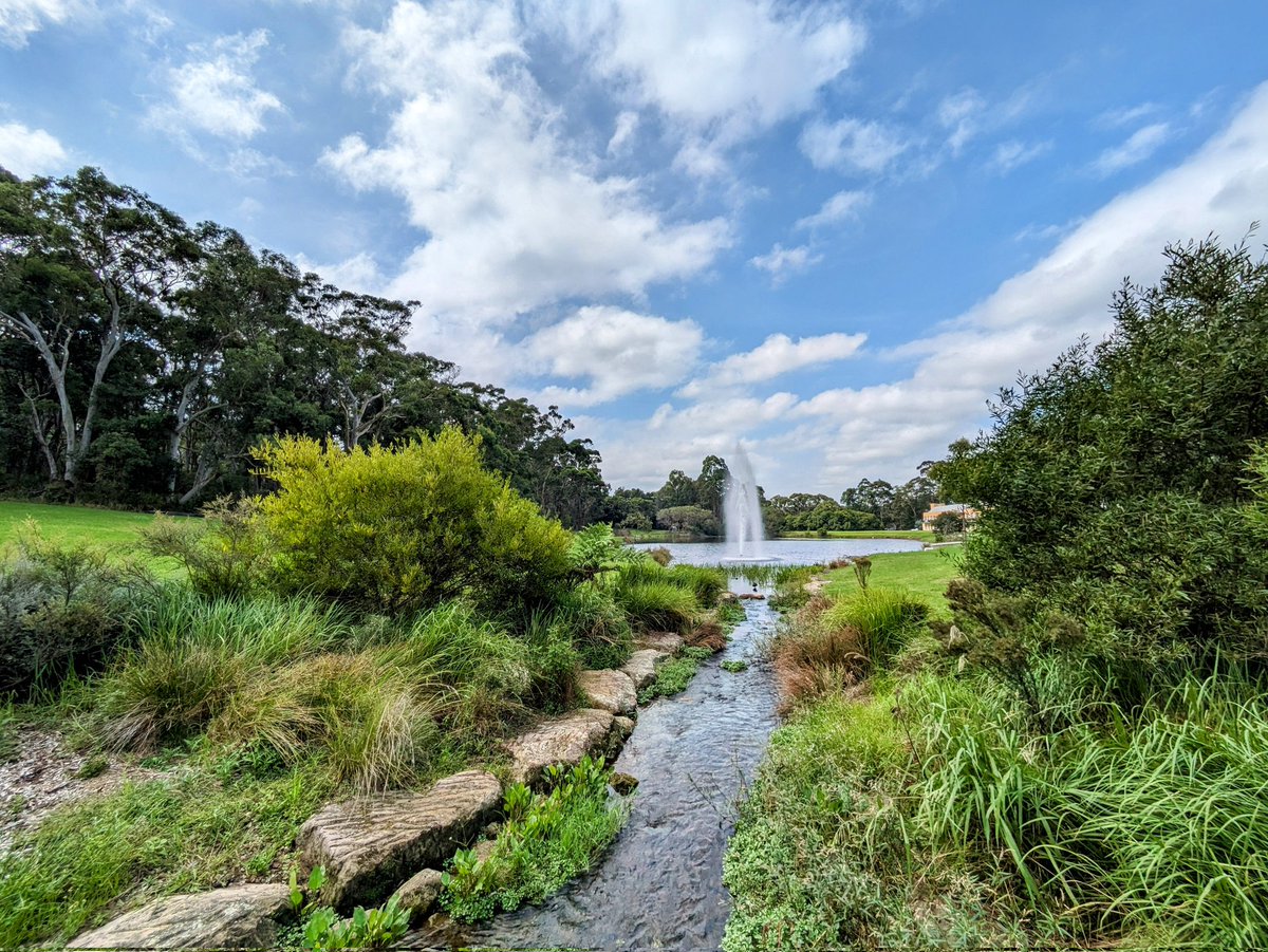 Super excited to have started my travelling fellowship @Macquarie_Uni working with @MarieHerberstei and @pipilika_aj on the vision of weird and wonderful Australian spiders, thanks to funding from @J_Exp_Biol @Co_Biologists 🕷️🇦🇺