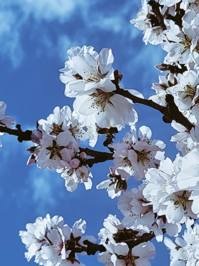 The_Fish_Underneath (@fishunderneath) on Twitter photo 