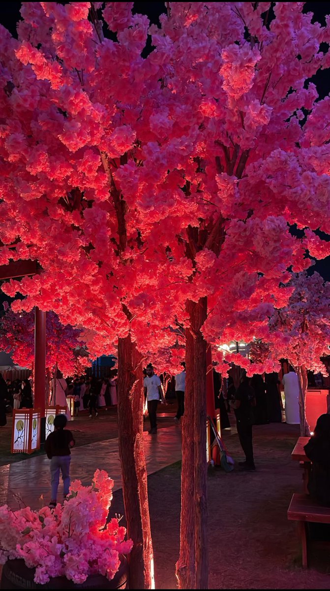 #ماذا_يفعل_الحب
تصبح حياتك بزهاء الوان الطيف
يجعل ايامك بدفىء وقت الصيف
وتصبح ساعات اليوم كانها نيف
لاتقل هل يفعل الحب ذلك كيف؟