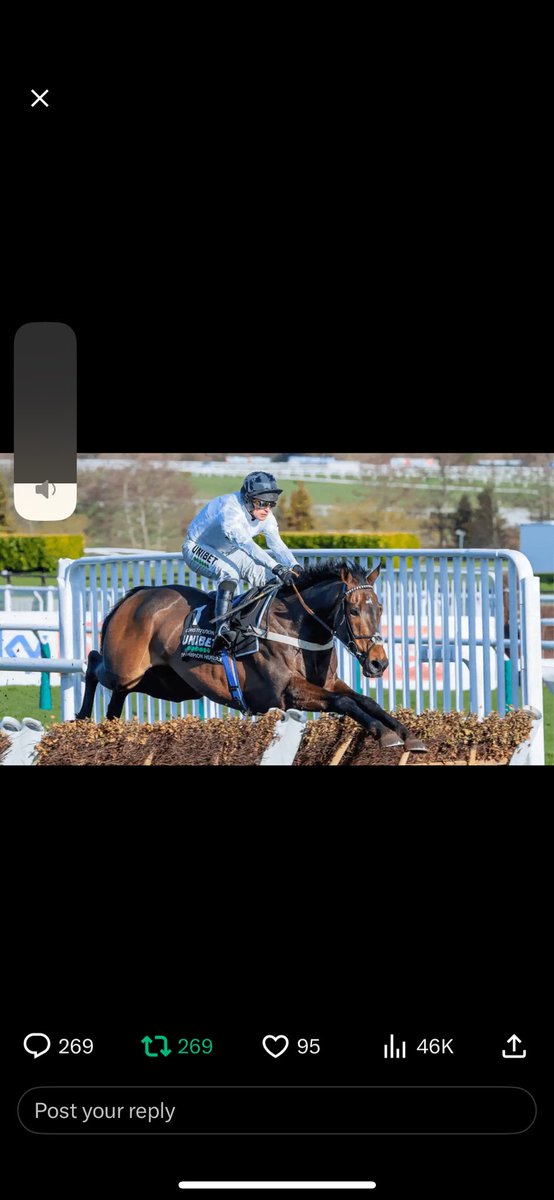 AislingCarthy's tweet photo. @RacingTV @UnibetRacing https://t.co/WvhLIhwH4s