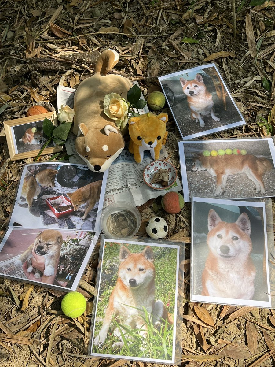 好想妳，我的小乖