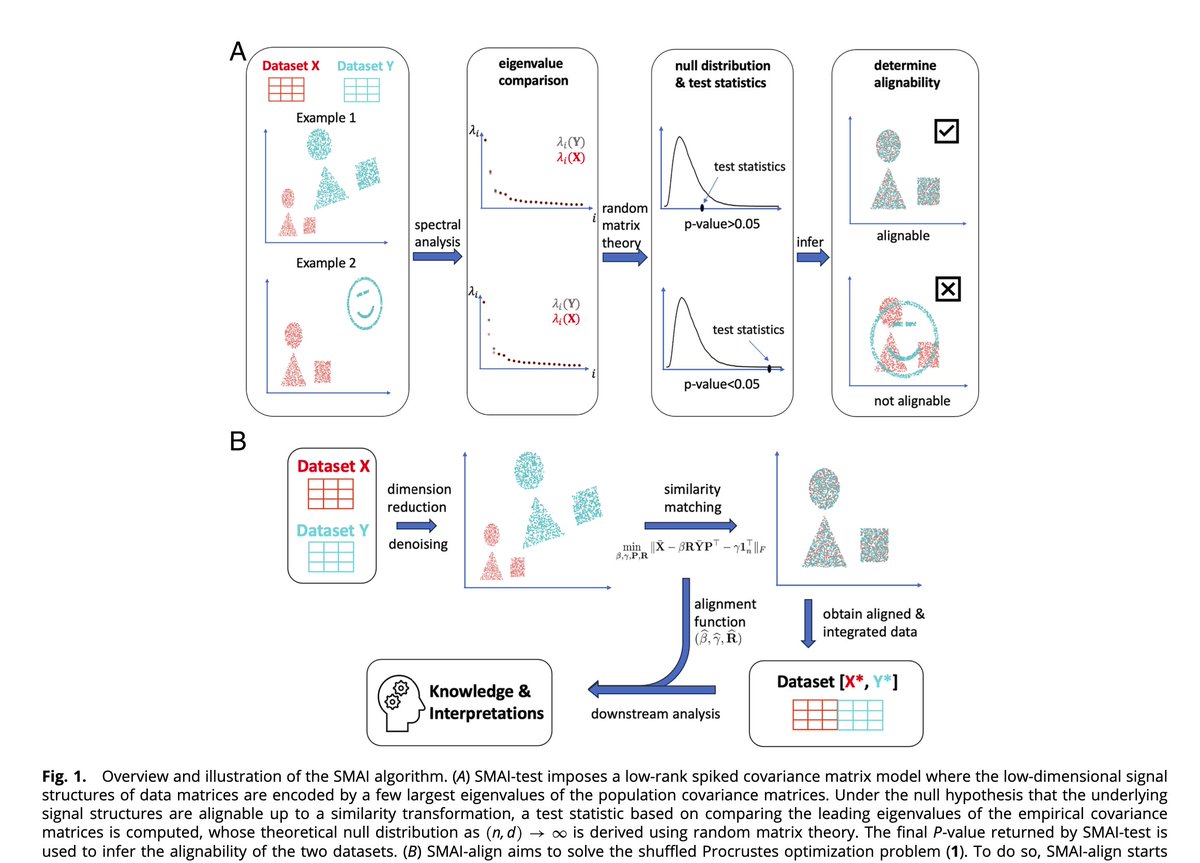 We often align different single-cell datasets, but which data should(n't) be aligned?

⚡️Our new <a href="/PNASNews/">PNASNews</a> paper proposes a rigorous test to tell when 2 datasets are (partly) alignable + a new alignment algo with min distortion pnas.org/doi/10.1073/pn…
code github.com/rongstat/SMAI