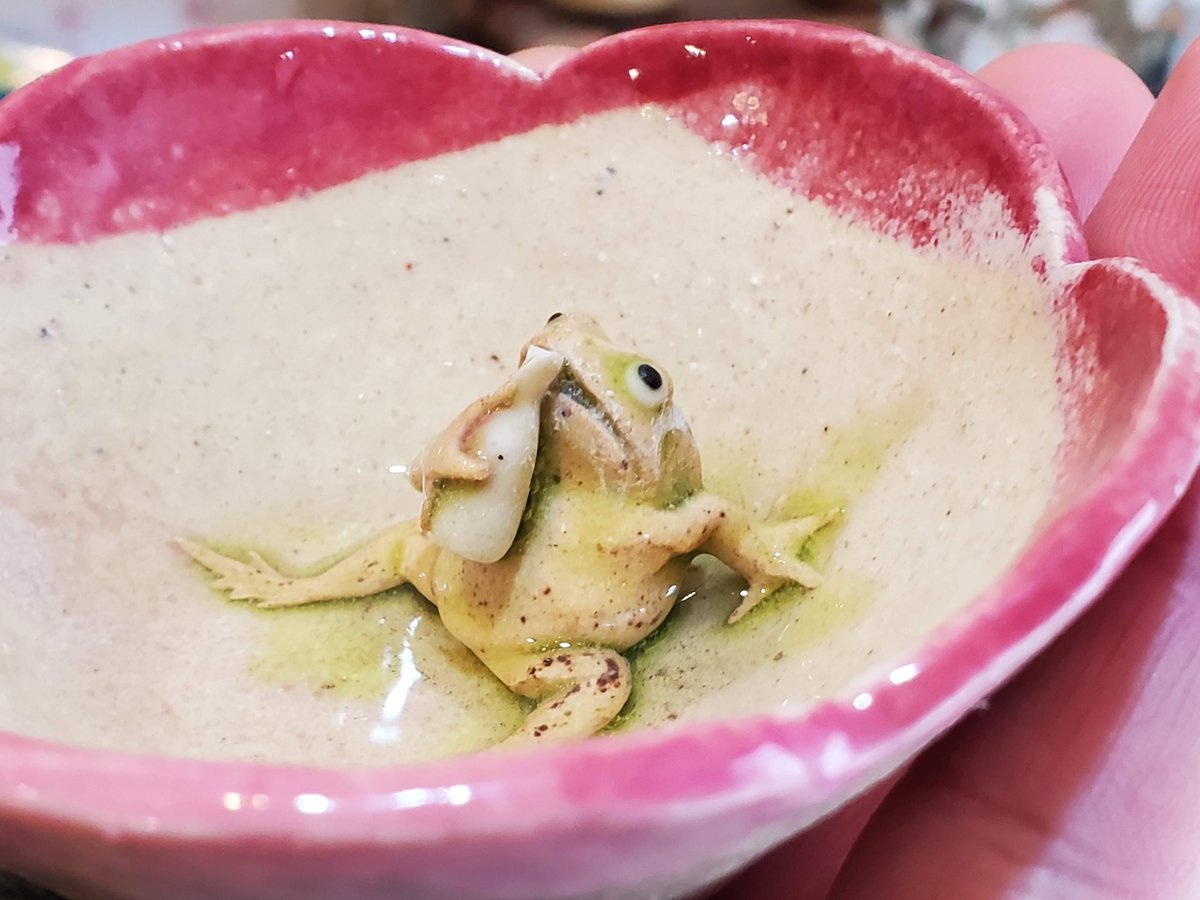 なんでうるう年がカエルなのか調べてみると 海外ではleap yearというそうです。 leapはちょんと飛ぶという意味です。 そこでカエルがマスコット キャラになってるそうです。 カエルの日が急に降って湧いてきた！！ 祝いだ！！ #leapyear #leapday