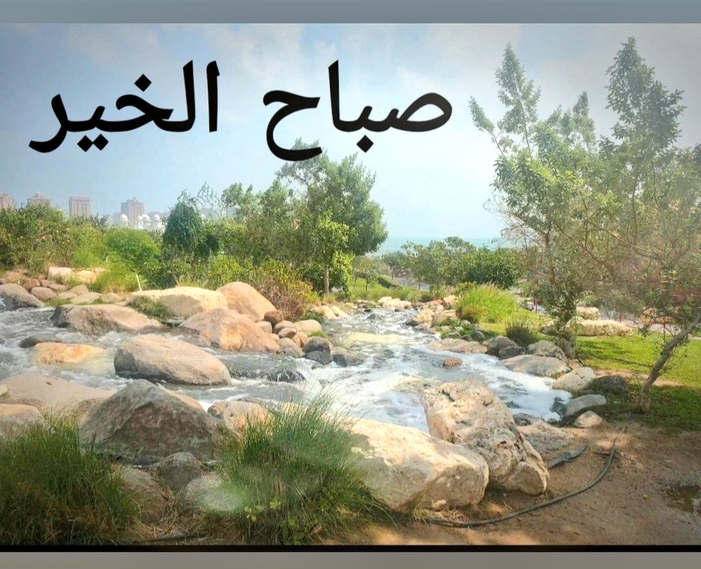 fatma78 tweet media