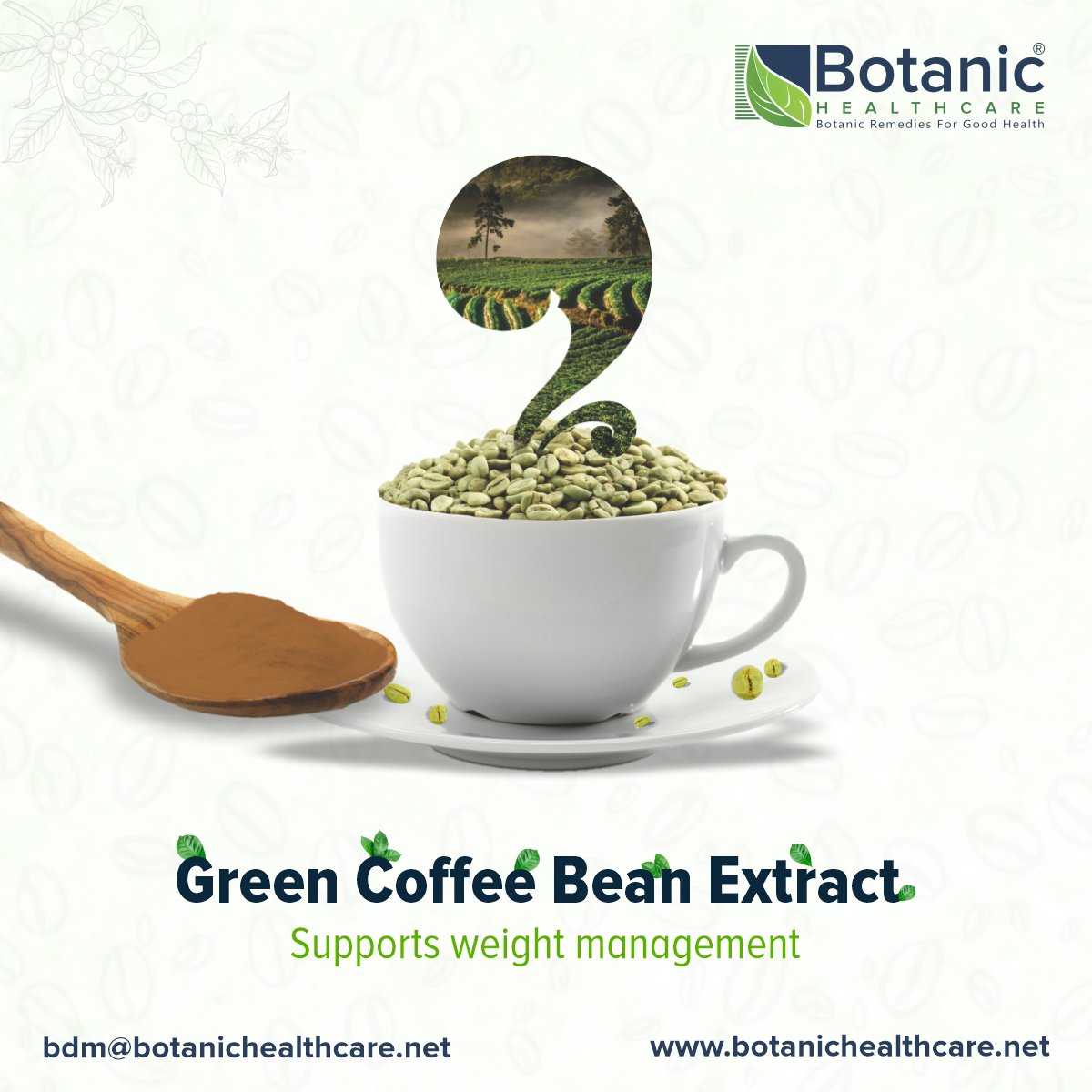 Our unique green coffee bean extract is packed with good stuff that is chlorogenic acid & trigonelline. It might even help you manage weight and keep your blood sugar happy. 

Write to us at bdm@botanichealthcare.net for more information.
#Botanichealthcare #herbalextracts