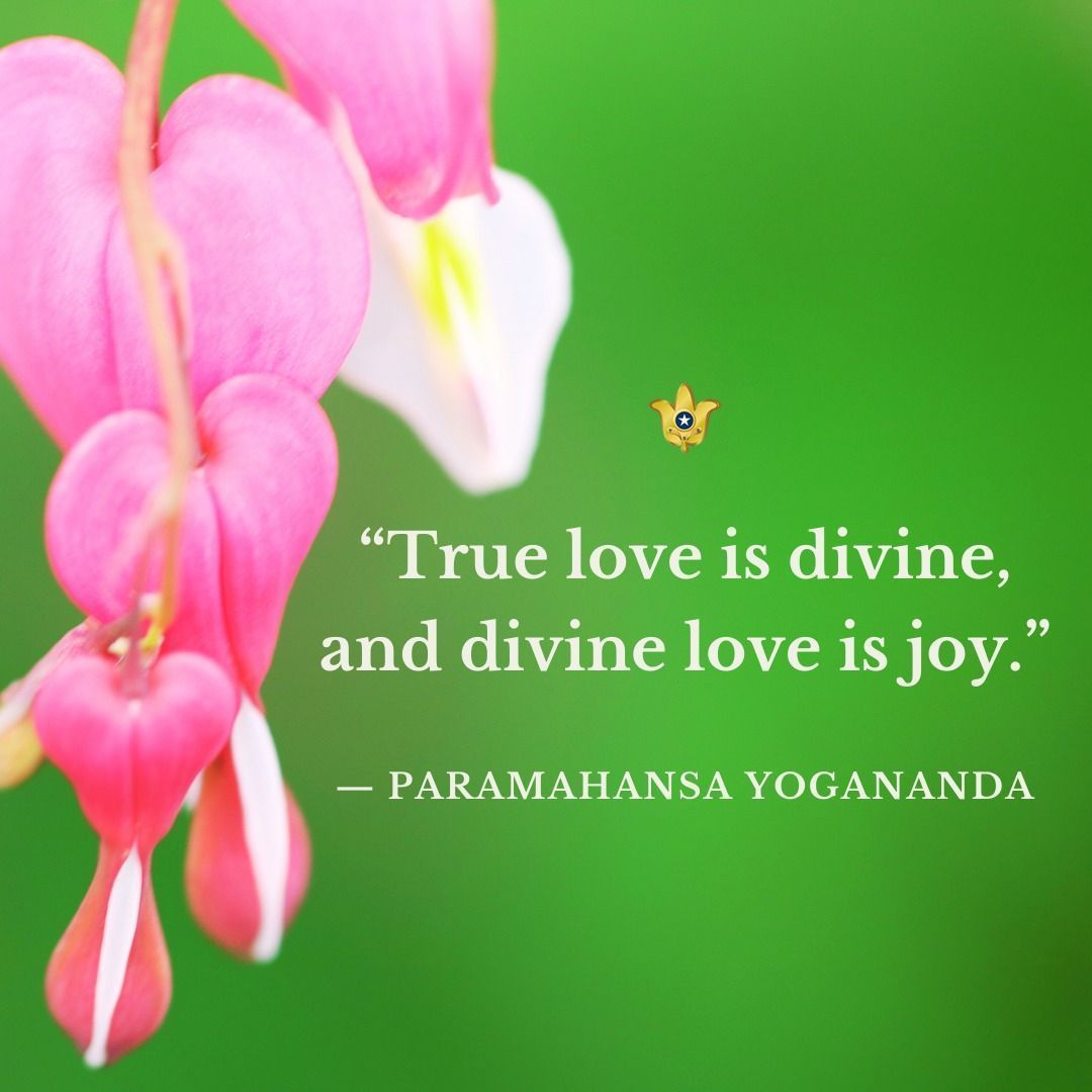 “True love is divine, and divine love is joy. The more you meditate, seeking God with a burning desire, the more you will feel that love in your heart. Then you will know that love is joy, and joy is God.” — Paramahansa Yogananda

yssi.org/GuidedMeditati… 
#love #GuidedMeditation